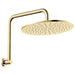 All Purpose Tiles | Fienza Empire Slim Gooseneck Shower Arm Set