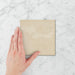 Tetra Origin Sesame - Gloss Finish