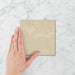 Tetra Nova Sesame - Gloss Finish