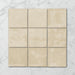 Tetra Nova Sesame - Gloss Finish