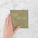 Tetra Origin Spanish Olive - Gloss Finish