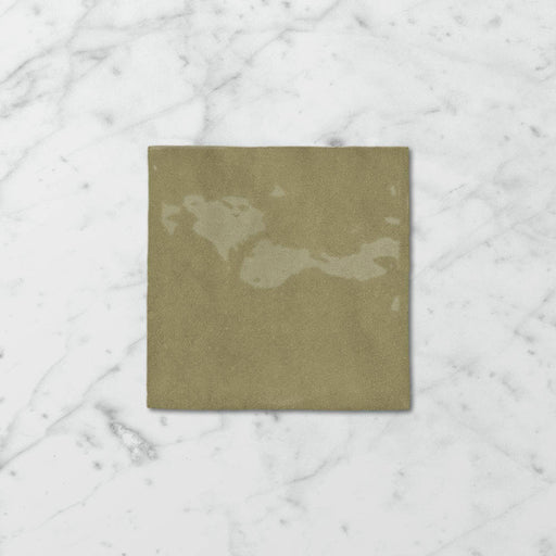 Tetra Nova Spanish Olive - Gloss Finish