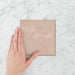 Tetra Fusion Pink Salt - Gloss Finish