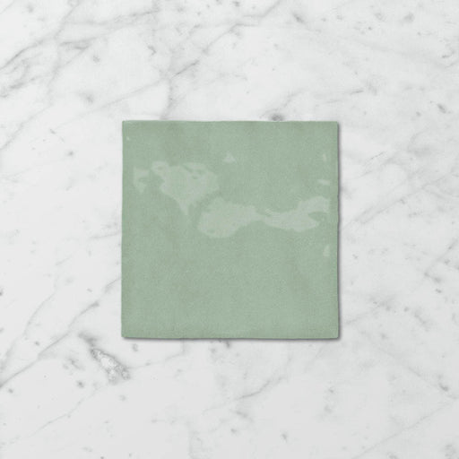 Tetra Nova Gumleaf - Gloss Finish
