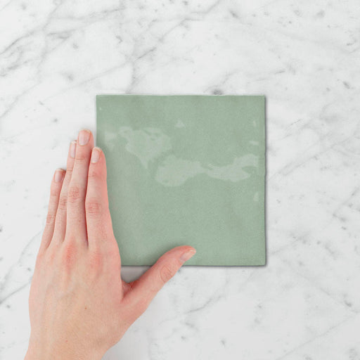 Tetra Nova Gumleaf - Gloss Finish