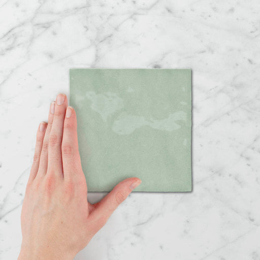 Tetra Nova Eucalypt - Gloss Finish