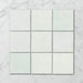 Tetra Fusion Classic Mint - Matt Finish