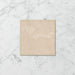 Tetra Nova Grist - Gloss Finish