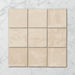 Tetra Nova Grist - Gloss Finish