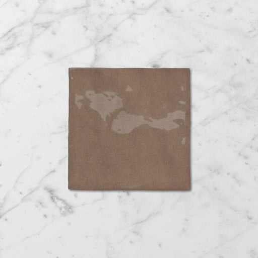 Tetra Nova Cola Nut - Gloss Finish