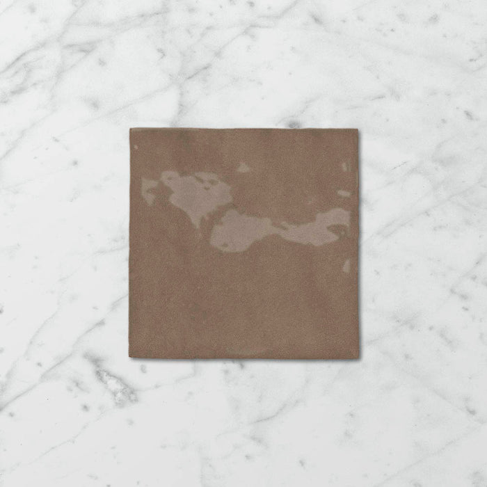 Tetra Nova Cola Nut - Gloss Finish