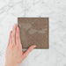 Tetra Fusion Cola Nut - Gloss Finish