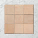 Tetra Fusion Clementine - Matt Finish