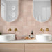 Tetra Origin Pink Salt - Matt Finish - Lifestyle