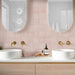 Tetra Nova Dried Petal - Matt Finish - Lifestyle